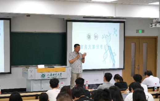 三上悠亚在线